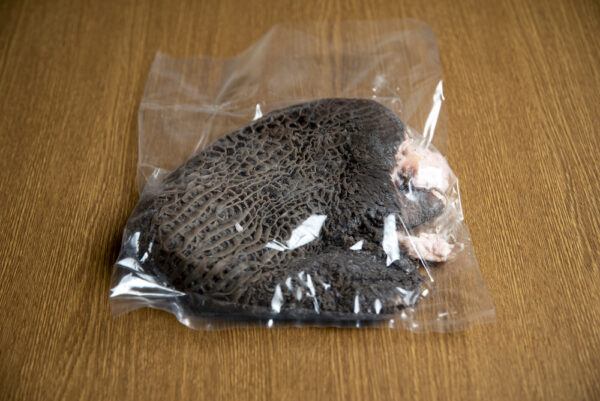 黒毛和牛 牛ハチノス 約1.5kg(不定貫) 冷凍 - 画像 (2)